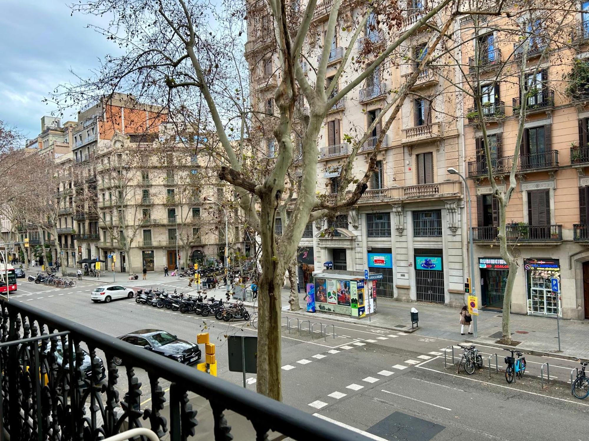 Storni Barcelona By Forget Me Not — Photos 1